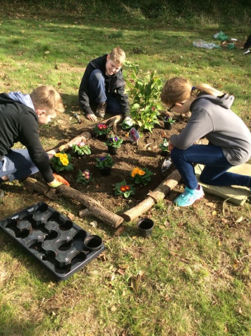 Other image for Tributes expected to grow as community garden proves popular
